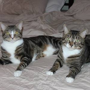 Fundraising Page: Lu LeVasseur